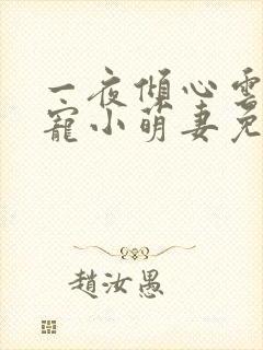 一夜倾心云少独宠小萌妻免费阅读封面