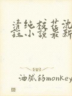 清纯校花沈柔付钰小说最新更新章节
