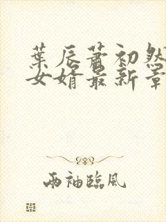 叶辰萧初然上门女婿最新章节封面