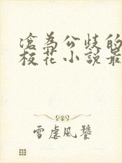 沧为公歧的清纯校花小说最新章节更