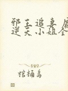 邪王追妻 废材逆天小姐全文阅读