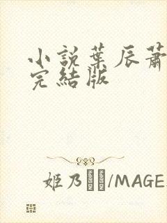 小说叶辰萧初然完结版