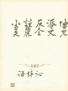 小说反派他过分美丽全文免费阅读