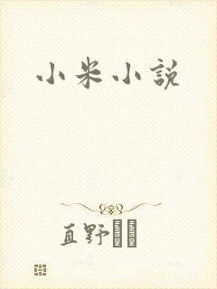 小米小说