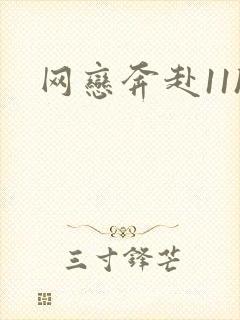 网恋奔赴11h封面