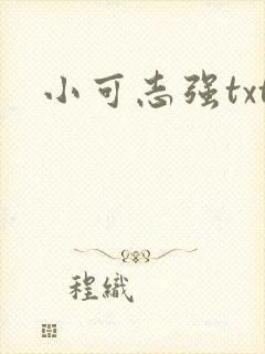 小可志强txt