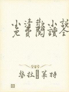 小清欢小说全文免费阅读全文