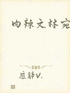 肉辣文林宛宛封面