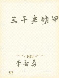 三千光明甲