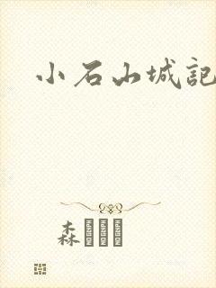 小石山城记