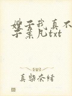 嫂子我真不是傻子叶凡txt
