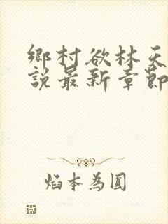 乡村欲林天成小说最新章节免费阅读全文封面