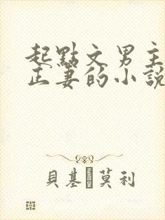 起点文男主沦为正妻的小说