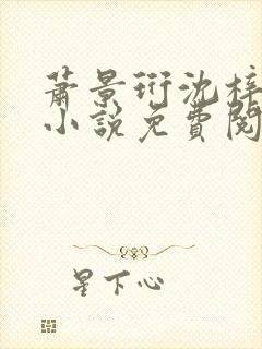 萧景珩沈梓雨的小说免费阅读全文
