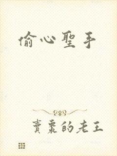 偷心圣手