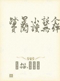 踏星小说全文免费阅读无弹窗