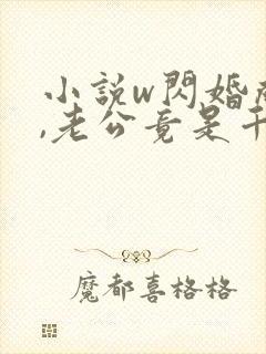 小说w闪婚成宠,老公竟是千亿大佬》