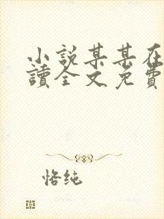 小说某某在线阅读全文免费