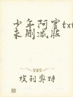 少年阿宾txt未删减版