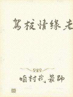 驾校情缘老赵