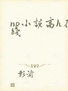 np小说高h在线