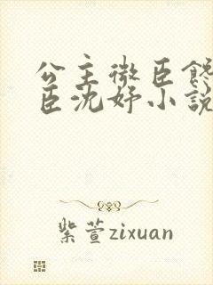 公主微臣馋了微臣沈妤小说