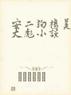 安二狗杨美玲安大彪小说
