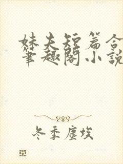 妹夫短篇合集_笔趣阁小说