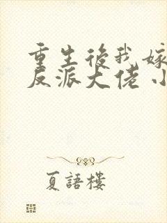 重生后我嫁给了反派大佬 小说