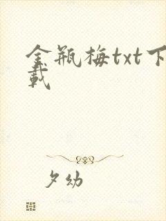 金瓶梅txt下载