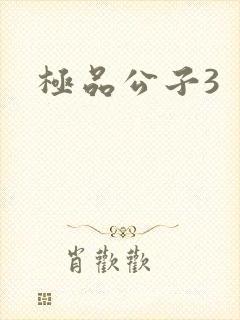 极品公子3