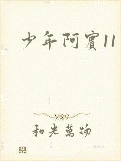 少年阿宾11