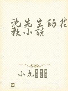 沈先生的花式管教小说