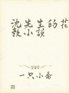 沈先生的花式调教小说