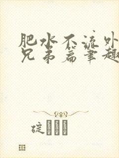 肥水不流外人田兄弟篇笔趣阁小说封面