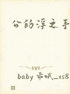 公的浮之手中字