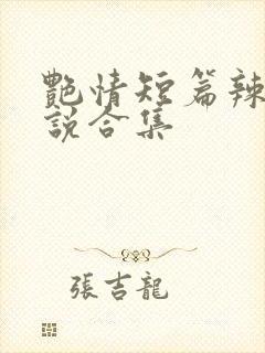 艳情短篇辣文小说合集