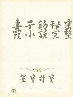妻子的秘密韩青霞小说完整阅读免费封面