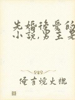 先婚后爱的军婚小说,男主是特种兵