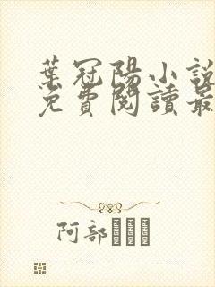 叶冠阳小说全文免费阅读最新章节