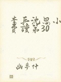 李兵沈思小说免费读第30封面