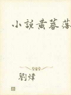 小说黄蓉落难记