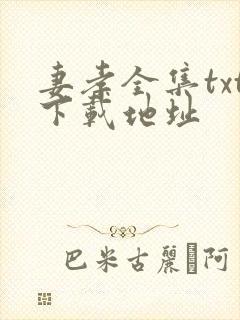 妻孝全集txt下载地址封面