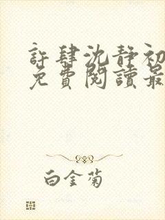 许肆沈静初全文免费阅读最新章节