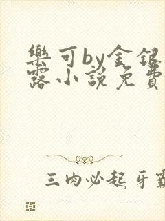 乐可by金银花露小说免费阅读封面