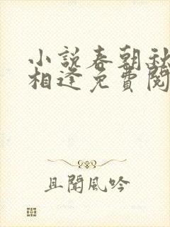 小说春朝秋夕不相逢免费阅读