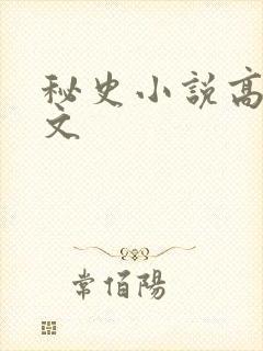 秘史小说高辣h文