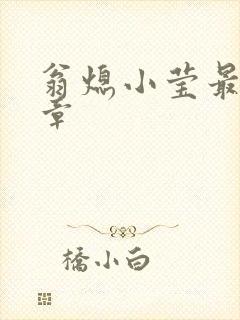 翁熄小莹最新节章封面