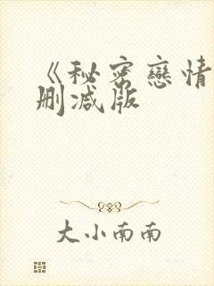 《秘密恋情》无删减版
