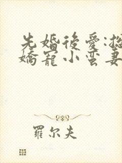 先婚后爱:总裁娇宠小蛮妻